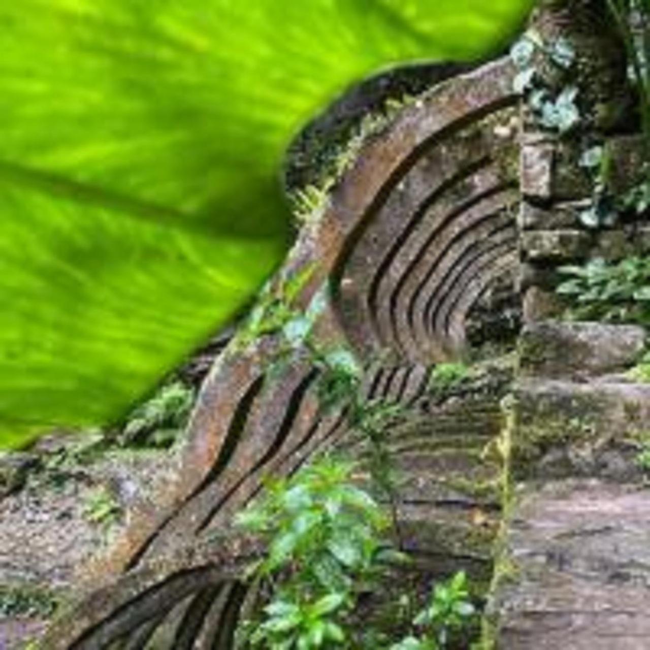 Grann Posada Xilitla Bagian luar foto